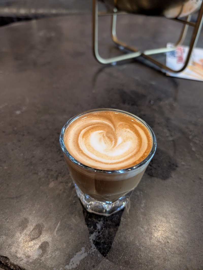 Vivid Coffee Roasters