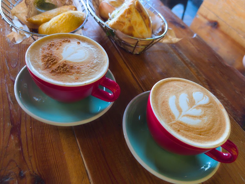 Macondo Coffee Roasters - Wesley Chapel