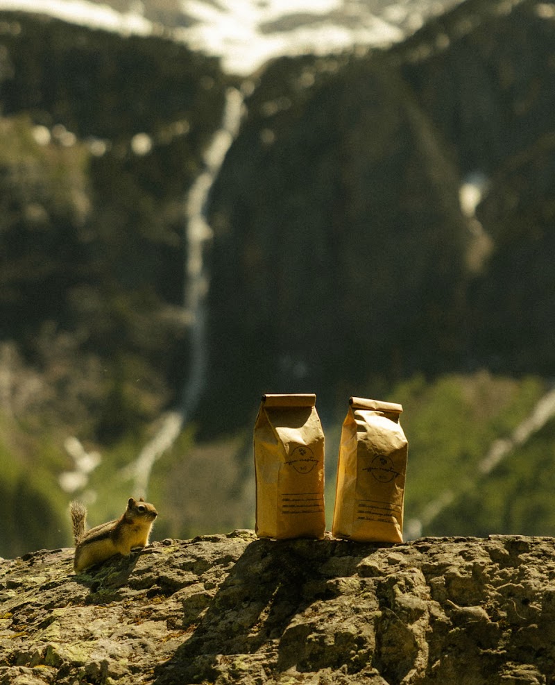 brŪ coffee roastery