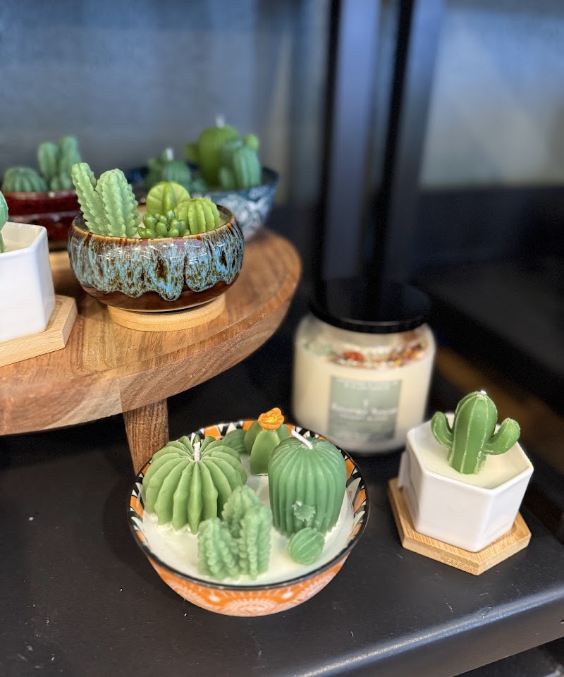 Sonoran House Sam Hughes