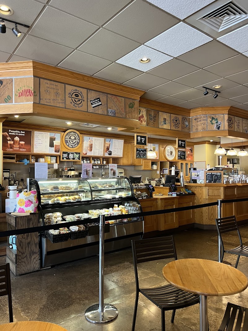 The Coffee Bean & Tea Leaf Manoa