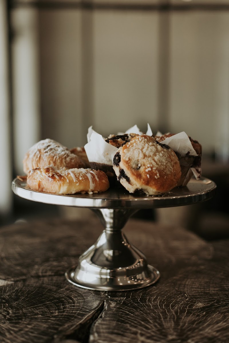 The Daily Grind Coffee Co.