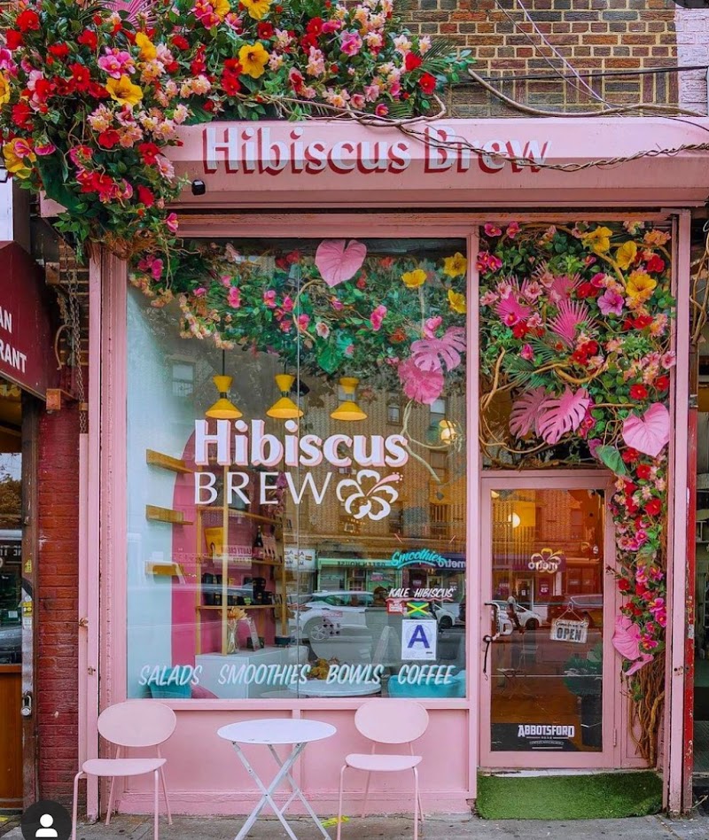 Hibiscus Brew