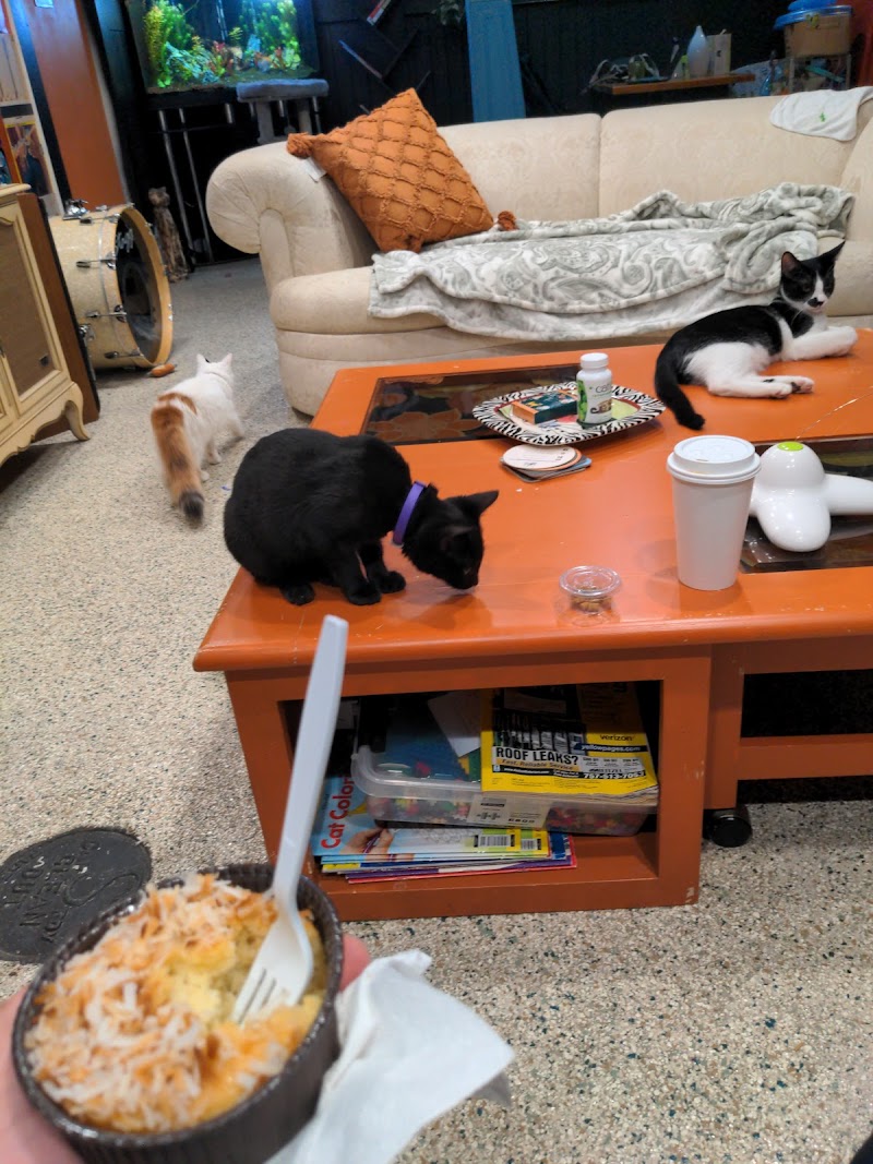 Cups and Claws Cat Cafe and Lounge