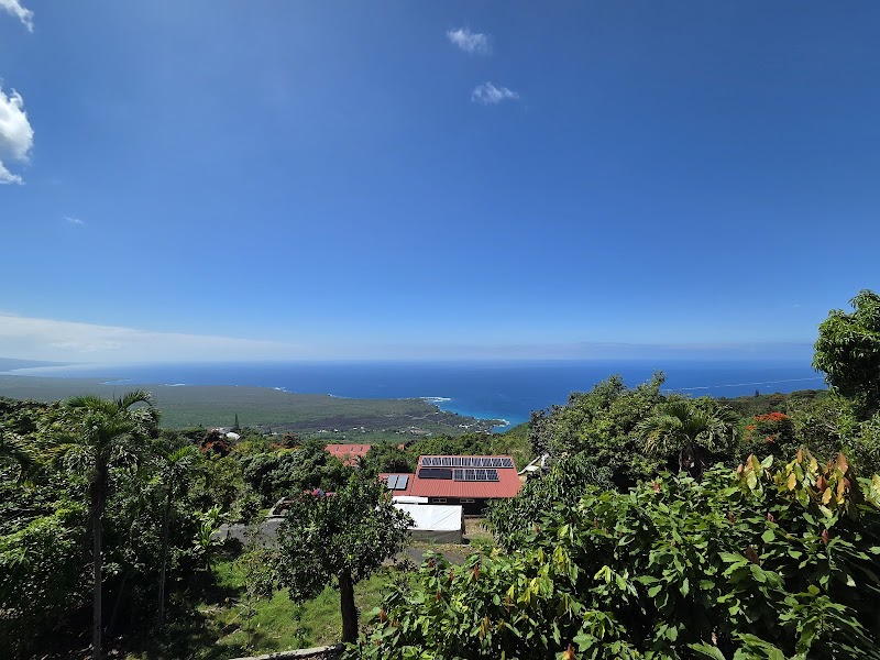 Sacred Grounds Coffee Farm