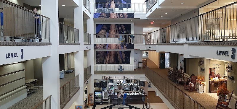 Taste Full Beans At the Mart