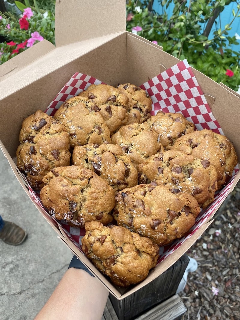 Rockport Coffee Company / Rockport Coffee House & Bakery