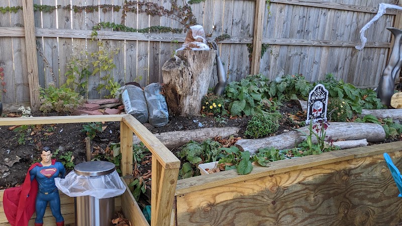 Fitz Books & Waffles