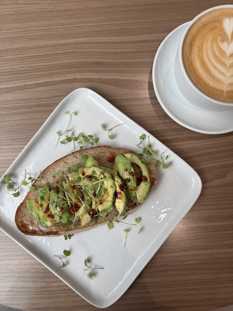 Bean Wandering Downtown