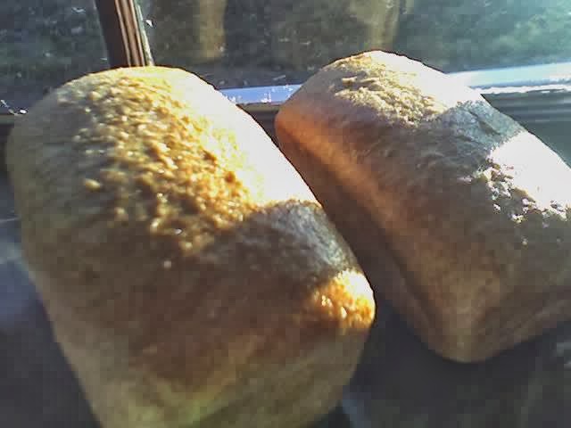 One Street Down Cafe