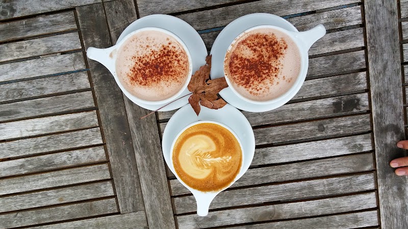 Temple Coffee Roasters