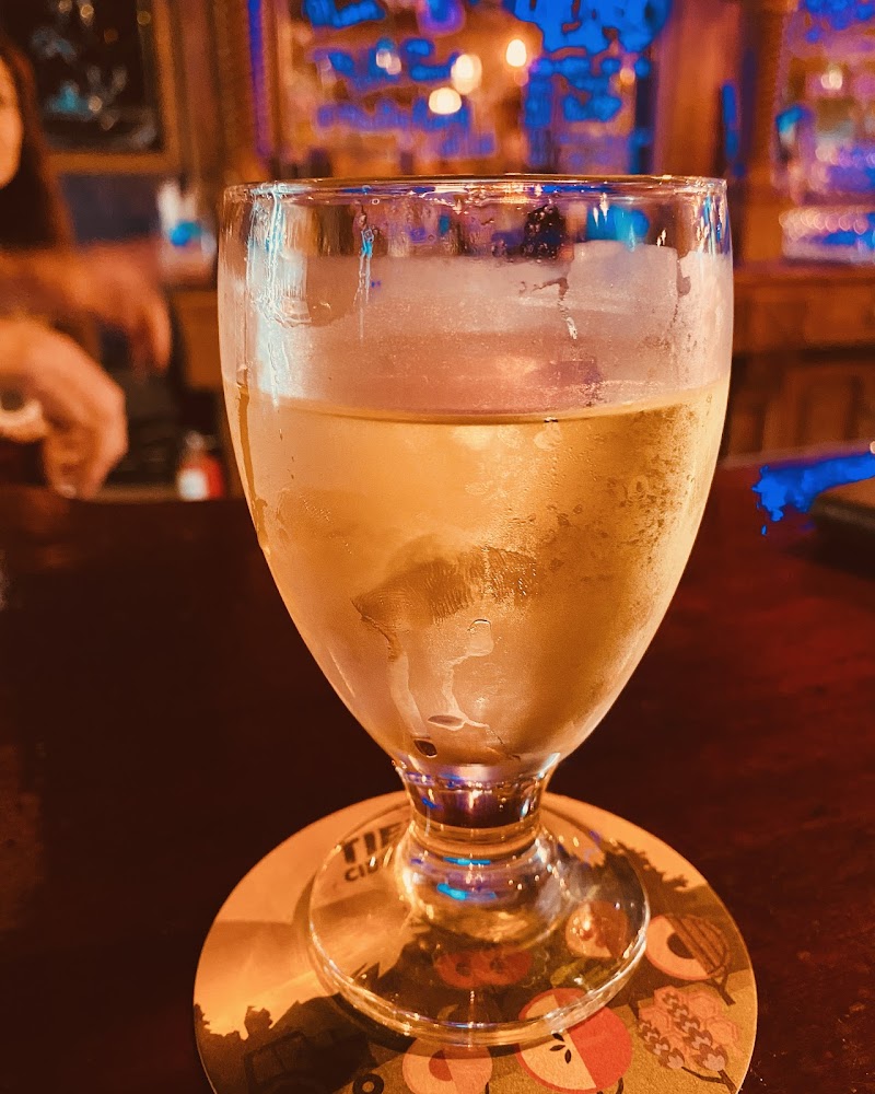 Backyard Social Club