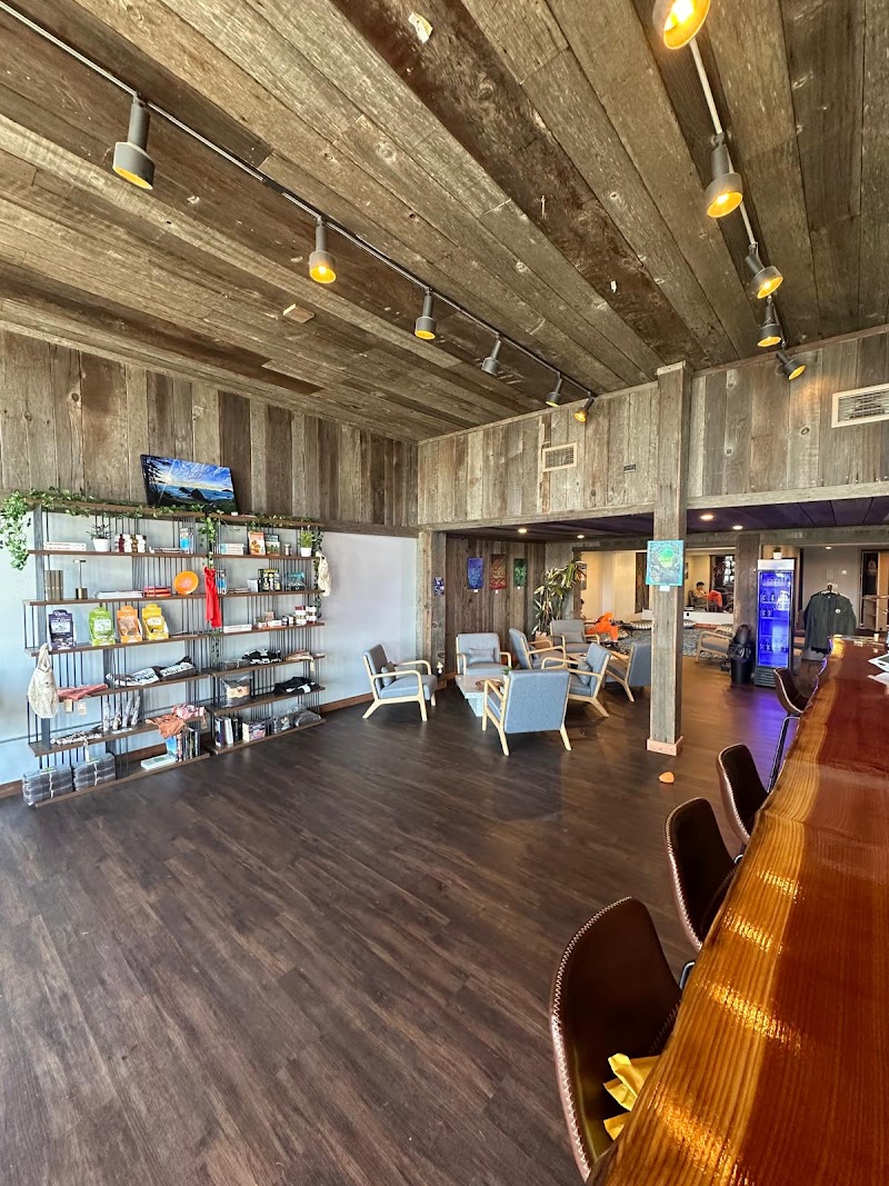 Culture Shrooms Humboldt