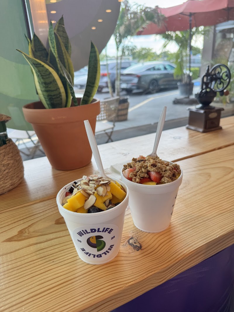 Wildlife Açaí & Café