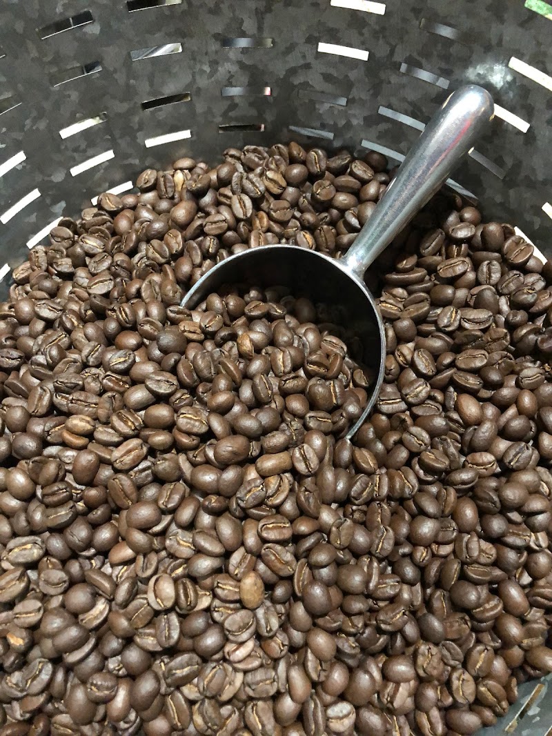 Daily Adventure Coffee Co