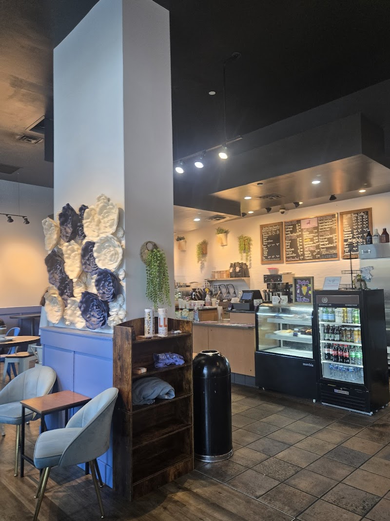 The Lazy Llama Coffeehouse - Atlantic Station