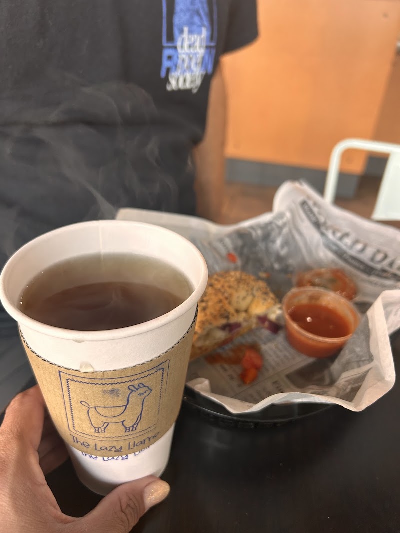 The Lazy Llama Coffeehouse - Atlantic Station