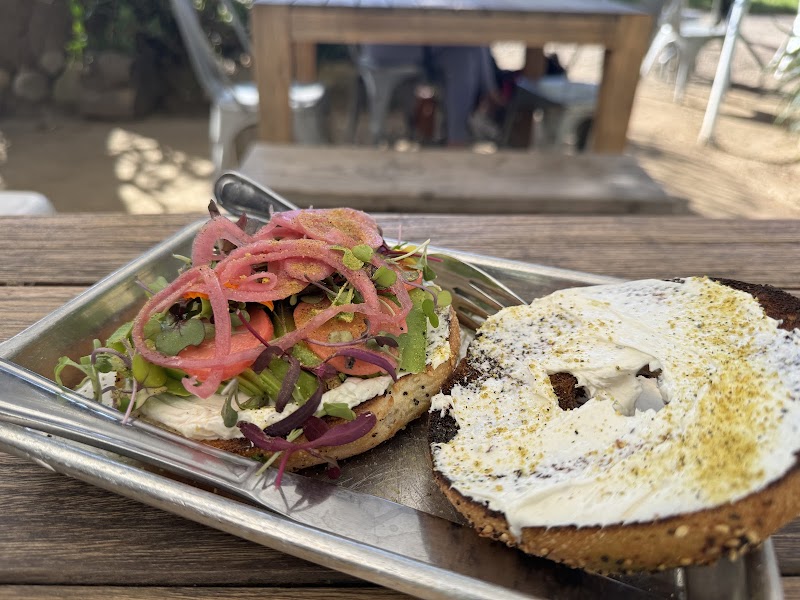 Lucky Llama Coffee House