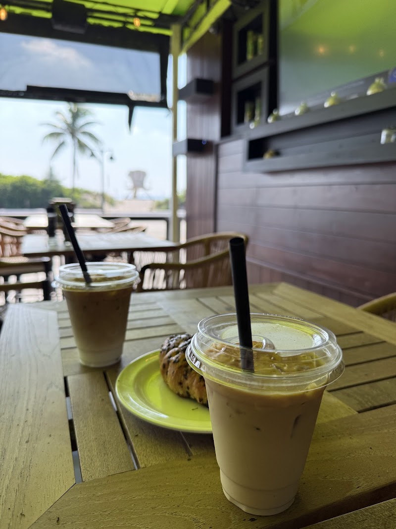 Green Tortuga Coffee