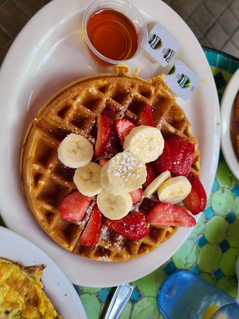 Lazy Daisy - Westwood