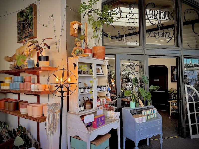 Little Green A Plant Bar