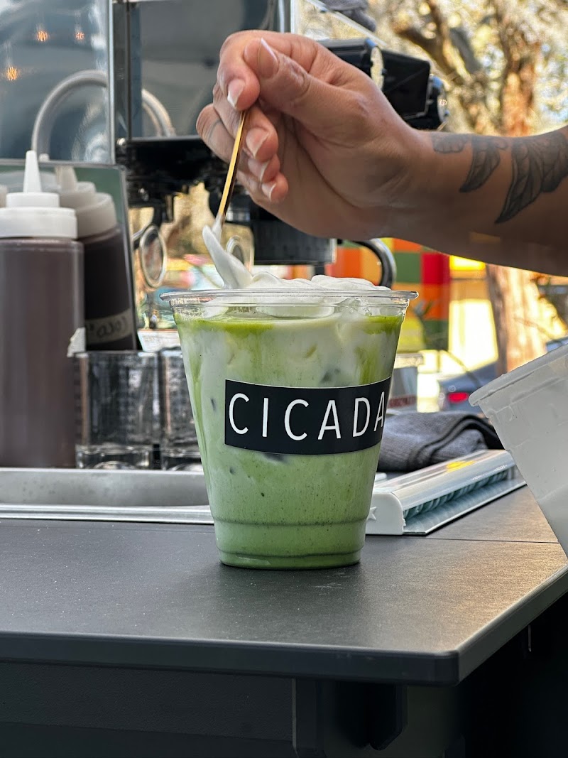 Cicada Coffee