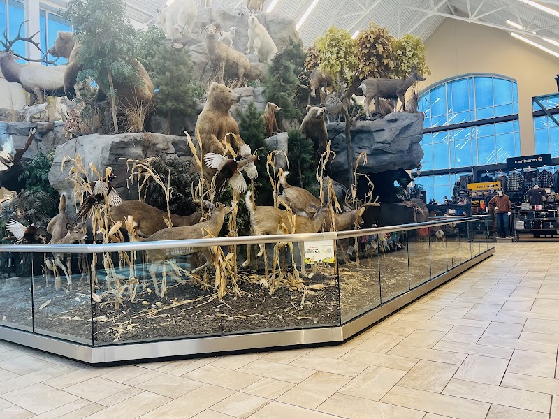 Ginna's Café @ SCHEELS