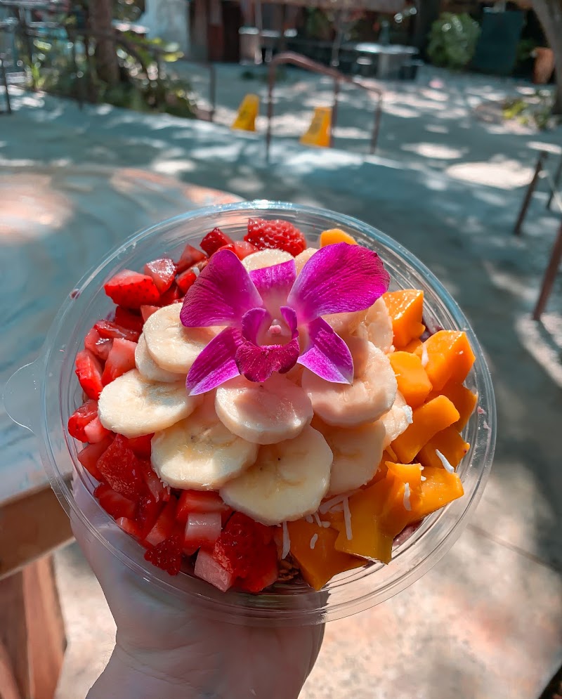 Amazonica - Aventura Mall