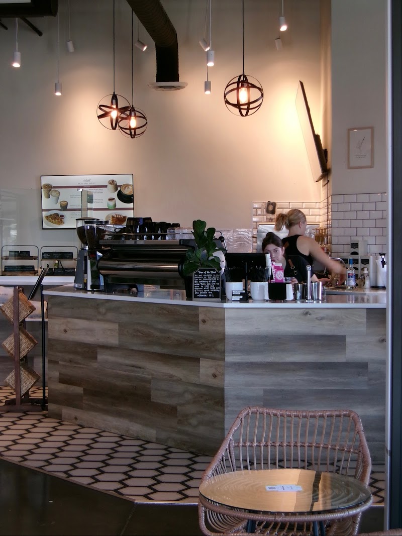 Ahava Coffee Roasters - Sandifur