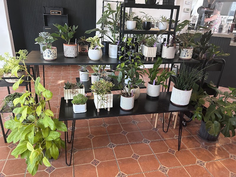 Botanist Coffeehouse