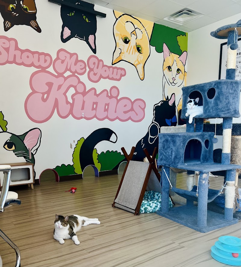 The Cattitude Café