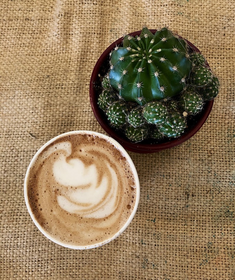 Roasters Coffee House