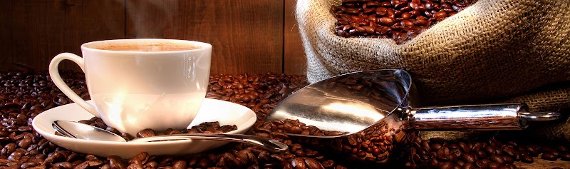 Earthback Coffee Roasters