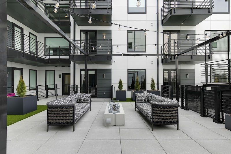 INK at Scott's Collection