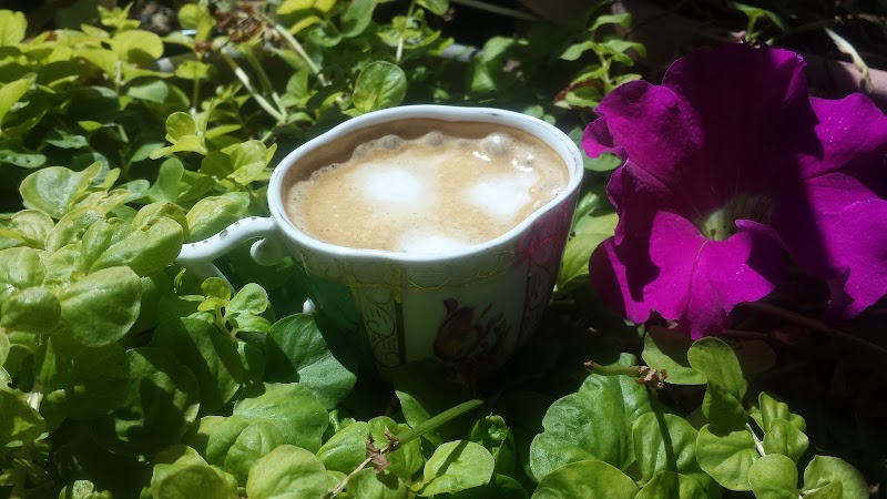 Little Espresso Shop