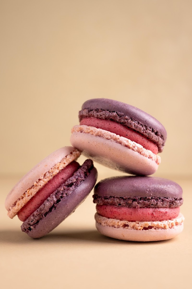 Amorino Gelato - Kalamazoo