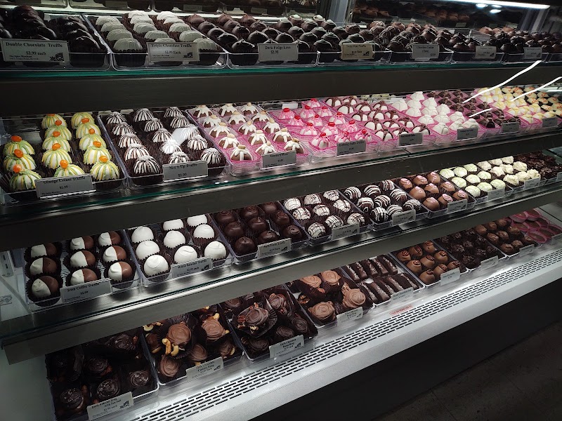 The Spice Merchant & Co