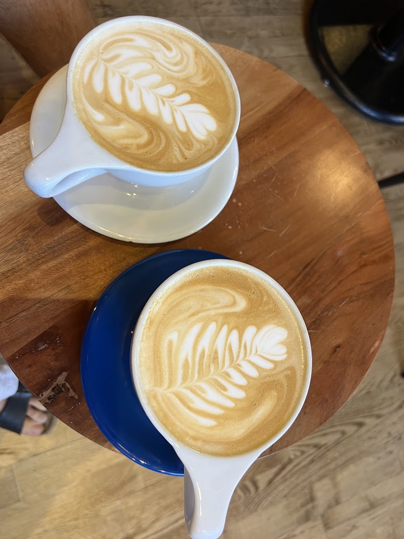 Wild Coffee in Glenwood