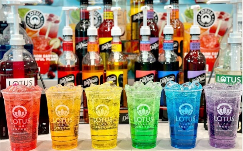 OCEAN BEACH ESPRESSO