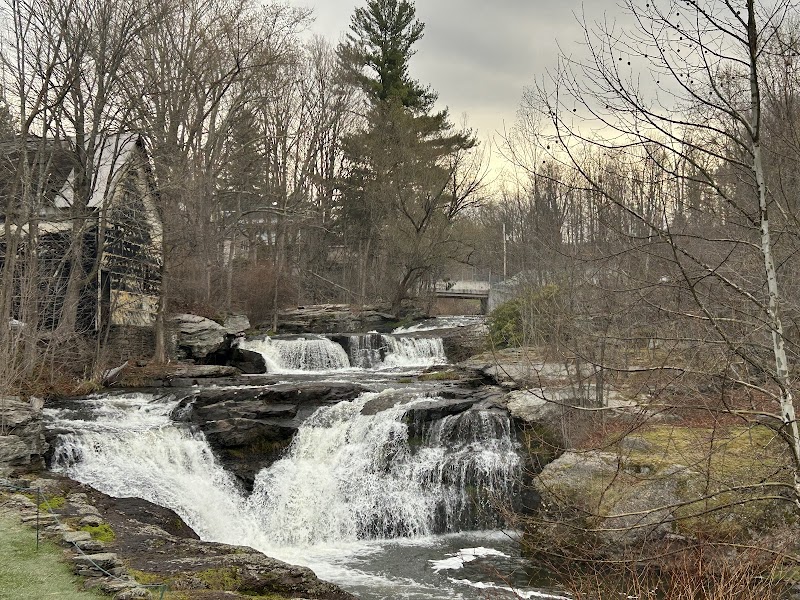 Black and Brass Coffee Roasting Company