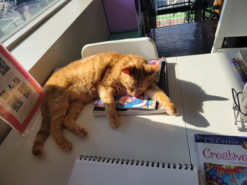 Cat Tales Cat Cafe