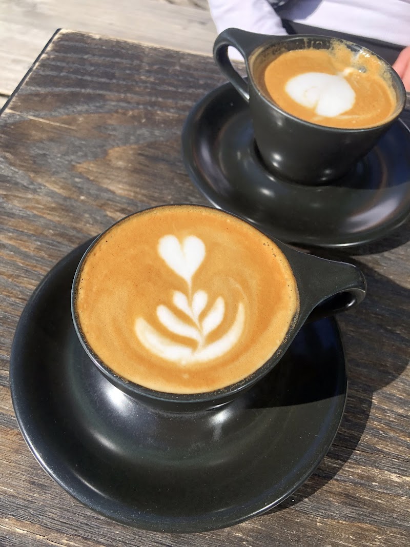 The Boy & The Bear - Coffee Roastery