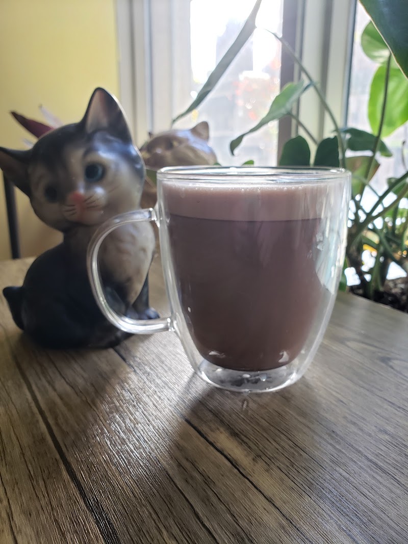 The Pawsitive Cat Cafe