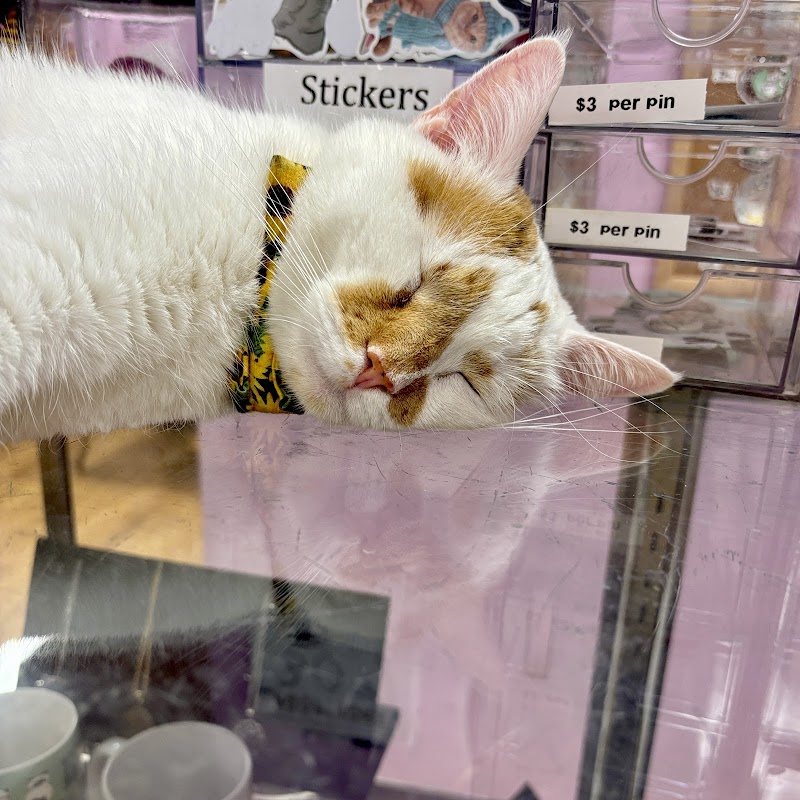 The Pawsitive Cat Cafe