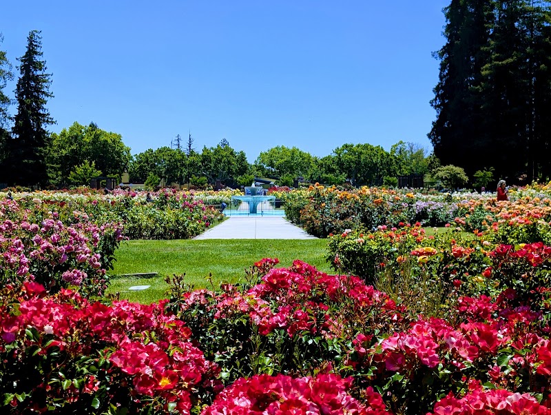 Municipal Rose Garden