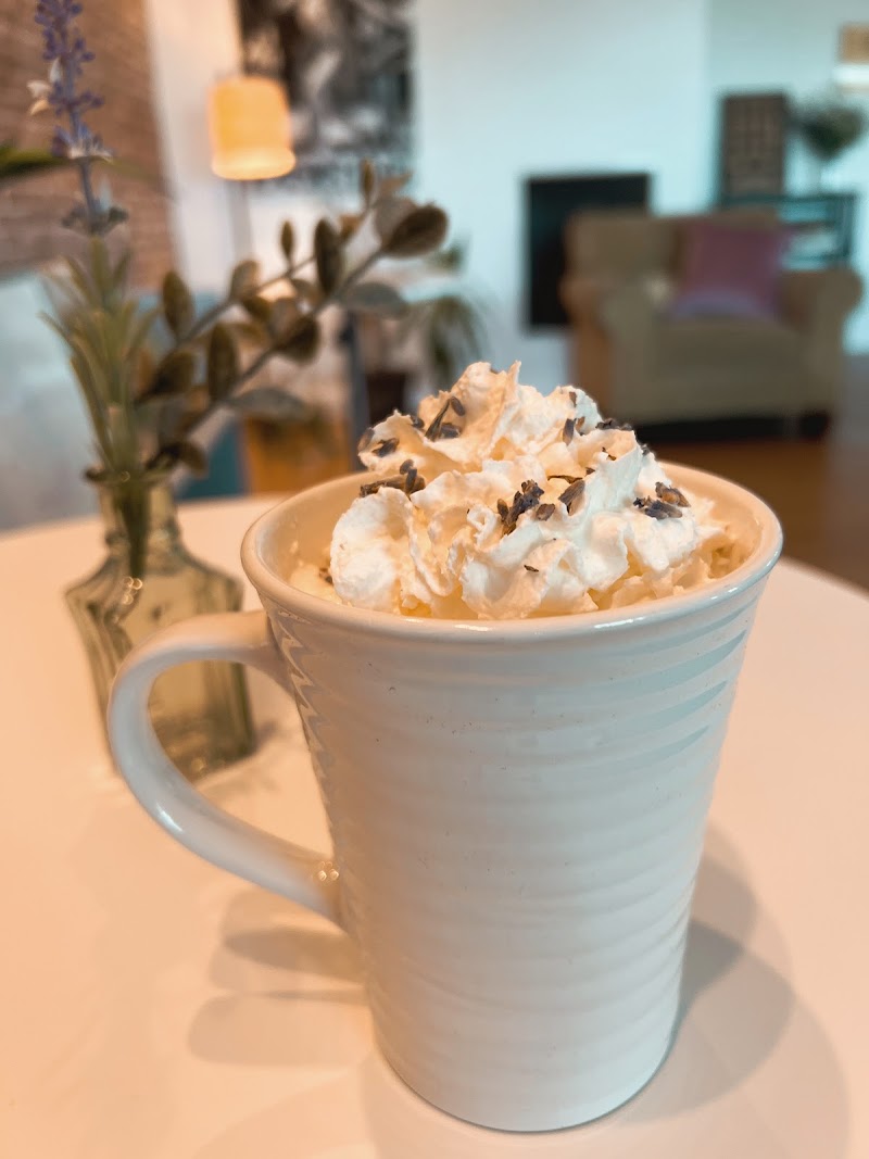 Vishwa Shanti Cafe - MIU