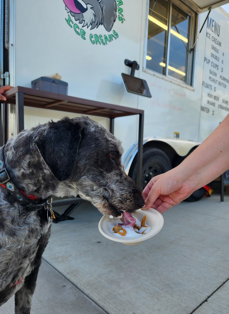 Kev Bean’s Ice Creams