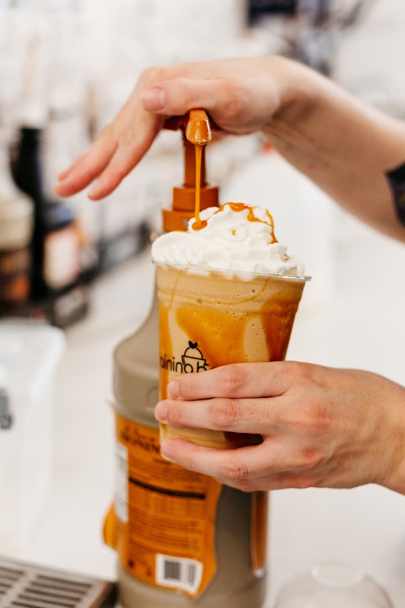 Raining Berries - St. Pete