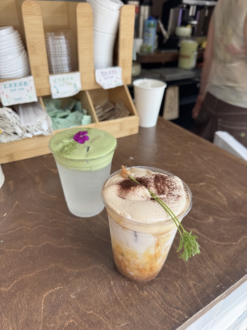 Dialogue Coffee & Flowers