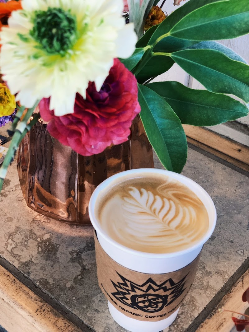 Roasters Espresso Bar